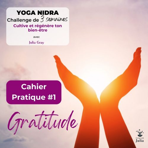 wellbeing challenge cahier pratique gratitude